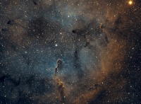 IC 1396 Elephant's Trunk Nebula