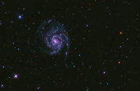 M 101 Pinwheel Galaxy